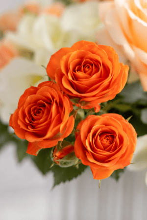 باکس یک طرفه مهتاب