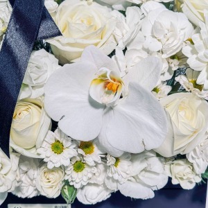 باکس یک طرفه هجران