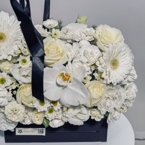 باکس یک طرفه هجران