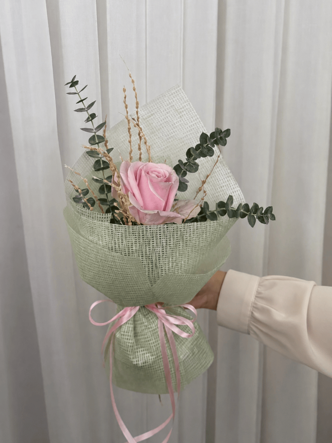 گل رز تک شاخه نوا