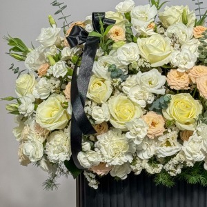 باکس یک طرفه نورا