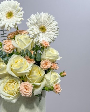 باکس یک طرفه روشنا