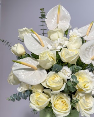 باکس طبیعت مخملی