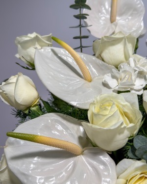 باکس طبیعت مخملی