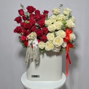 باکس چرمی کنتراست