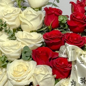 سبد حصیری سایه روشن
