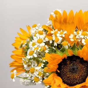 جار گل اپرای طلایی