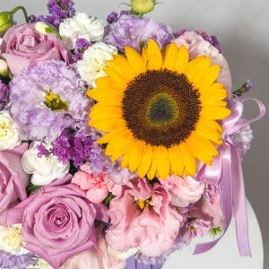 مینی باکس رویای یاسی