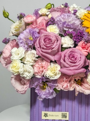 مینی باکس رویای یاسی