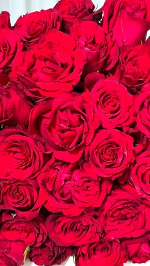 دسته گل رز 40 شاخه کلاسیک
