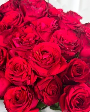 دسته گل رز قرمز با کاغذ پیچ سفید کلاسیک