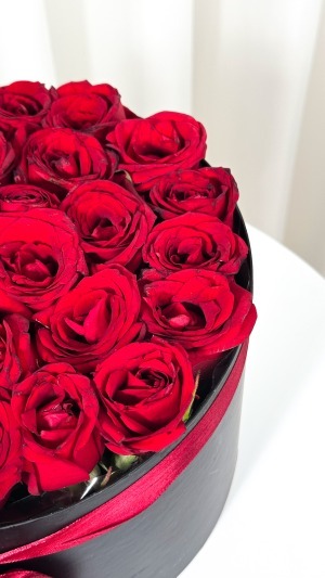 باکس بزرگ مدرن