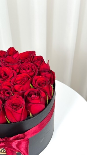 باکس کوچک مدرن