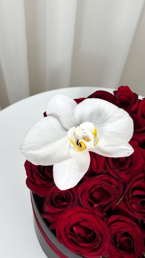 باکس کوچک ارکیده