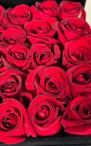 باکس سوپرایزی