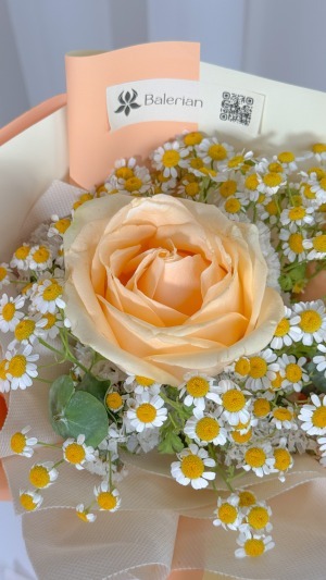 تک شاخه رز