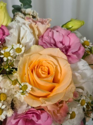 باکس چهار ضلعی رز هلویی