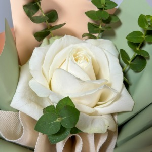 تک شاخه رز سفید با اکالیپتوس مینیمال سبزینه