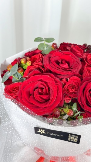 دسته گل رز قرمز نوا