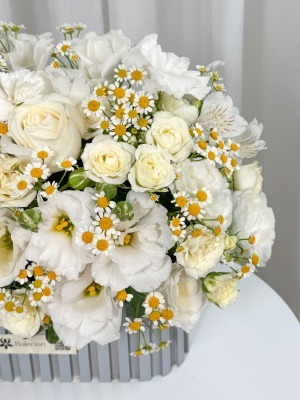 مینی باکس رز و بابونه رها