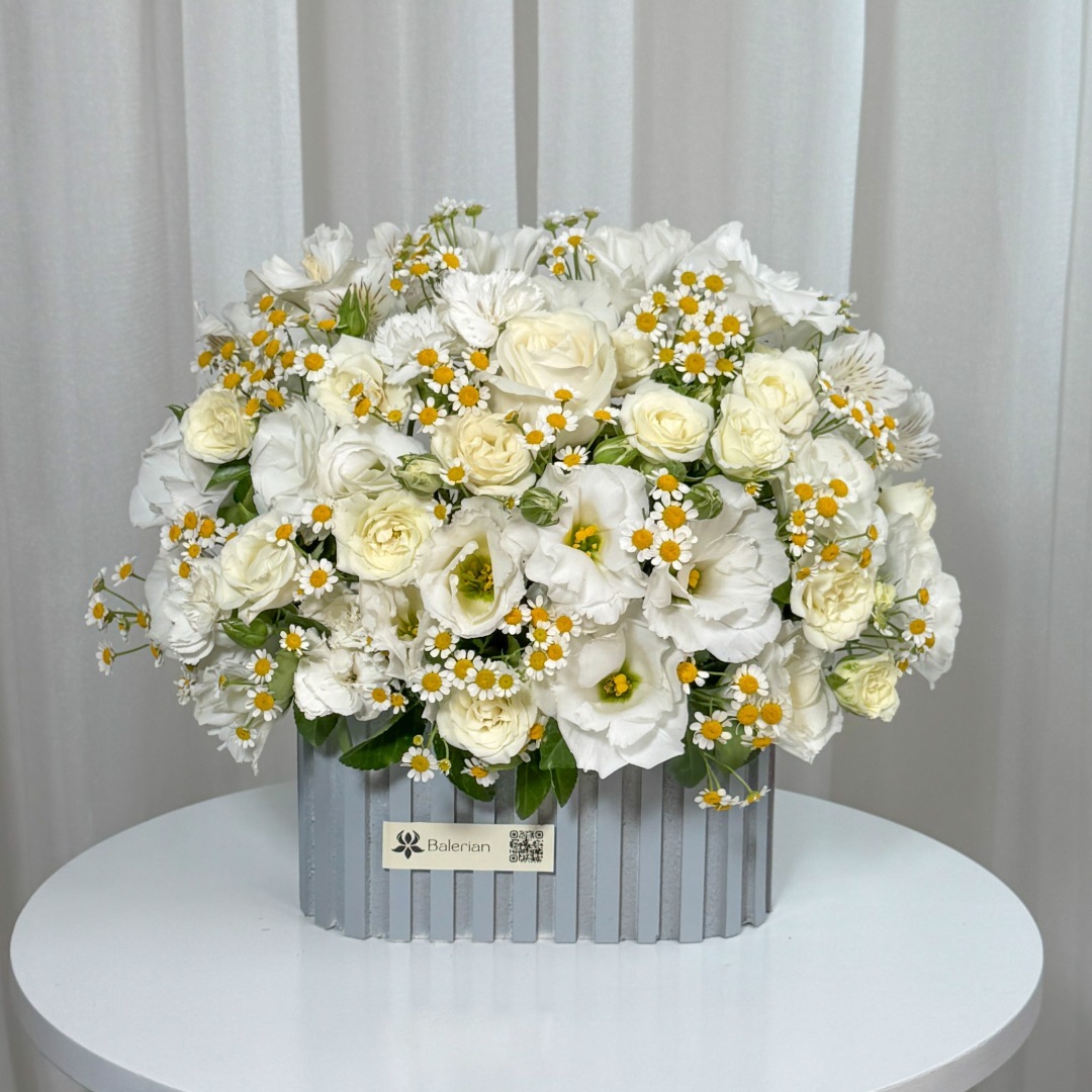 مینی باکس رز و بابونه رها مینی باکس رز و بابونه رها