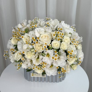مینی باکس رز و بابونه رها