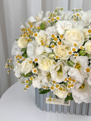 مینی باکس رز و بابونه رها