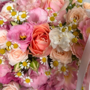 مینی باکس رز و بابونه پرنیا