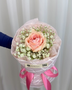 تک‌شاخه رز و ژیپسوفیلا آوا