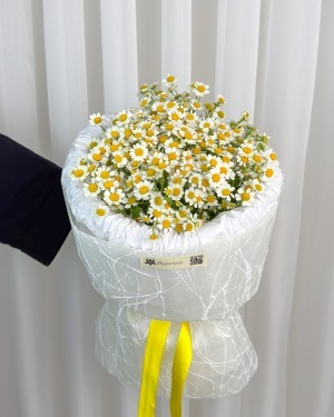دسته‌گل بابونه خورشید