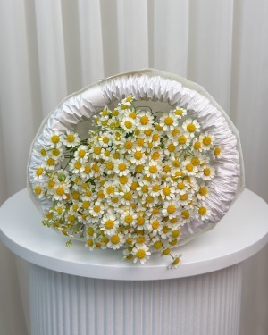 دسته‌گل بابونه خورشید