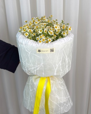 دسته‌گل بابونه خورشید