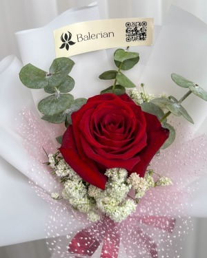 تک شاخه رز و ژیپسوفیلا نازنین