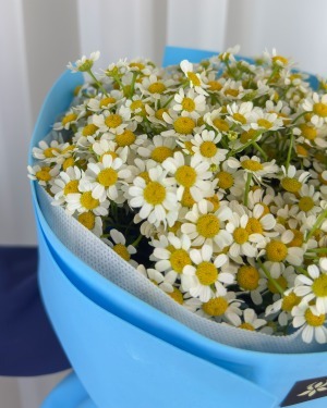 دسته گل بابونه نیلان
