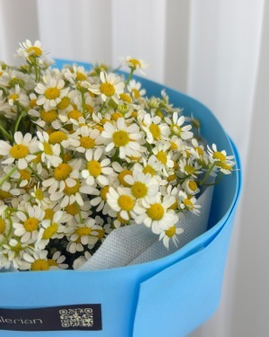 دسته گل بابونه نیلان