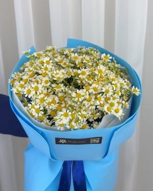دسته گل بابونه نیلان