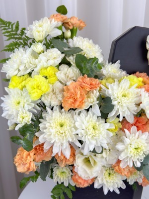 باکس گل داوودی و میخک دالیا