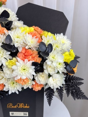 باکس گل داوودی و میخک هیراد