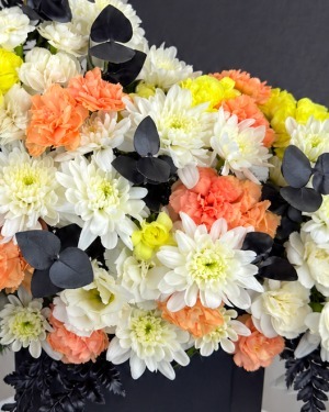باکس گل داوودی و میخک هیراد